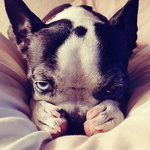 Meet your Posher, Terry